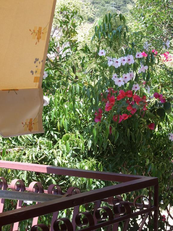 Stamoulis Apartments Agia Efimia Dış mekan fotoğraf